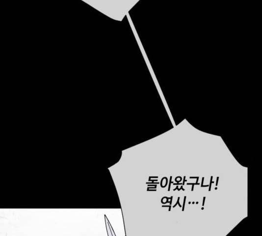 그 기사가 레이디로 사는 법 33화 52