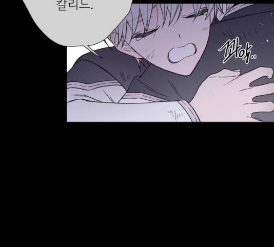 그 기사가 레이디로 사는 법 33화 83