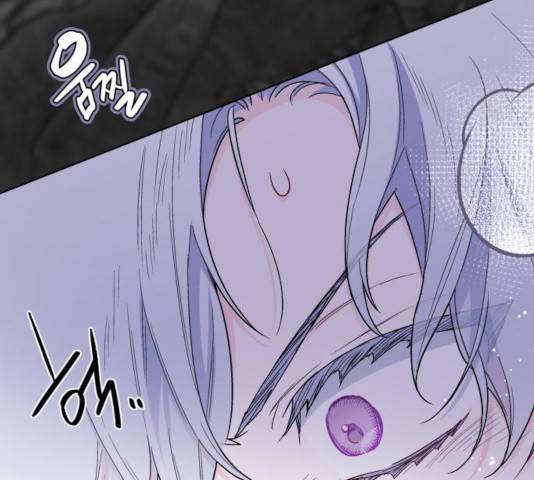 그 기사가 레이디로 사는 법 33화 116