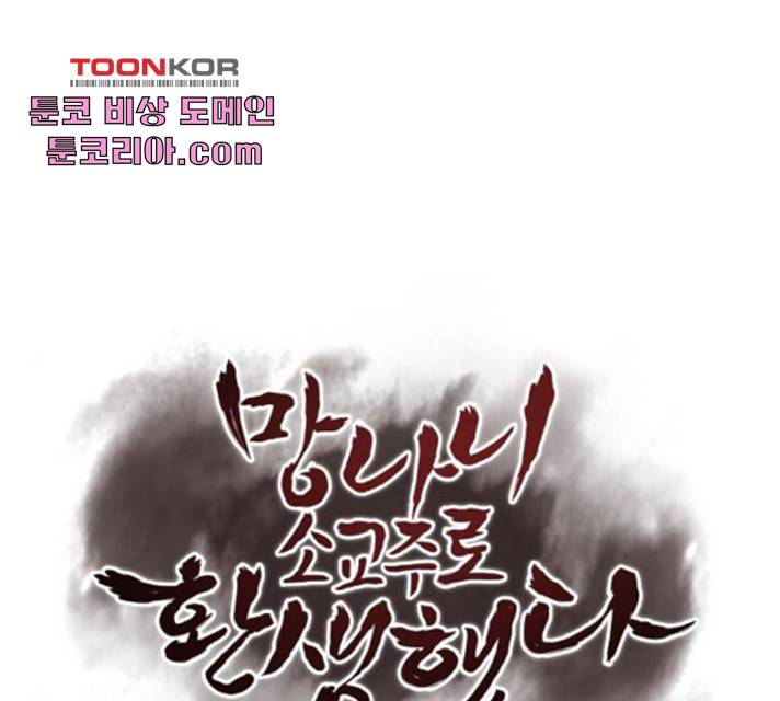 망나니 소교주로 환생했다 13화 1