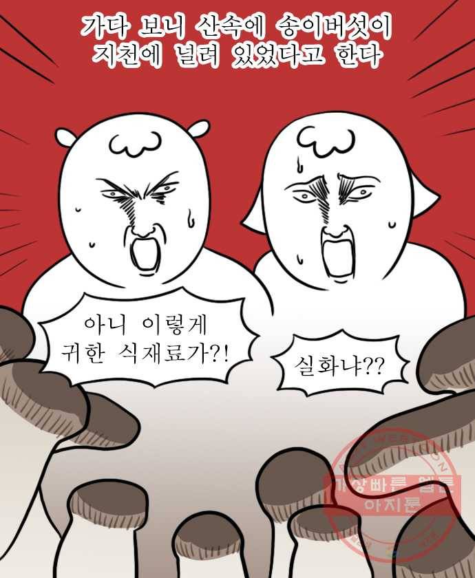 독립일기 시즌2 16화  송이버섯에 얽힌 옛날이야기 10