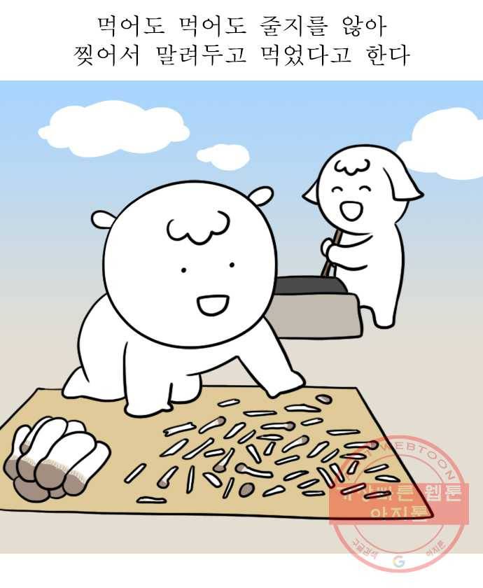 독립일기 시즌2 16화  송이버섯에 얽힌 옛날이야기 12