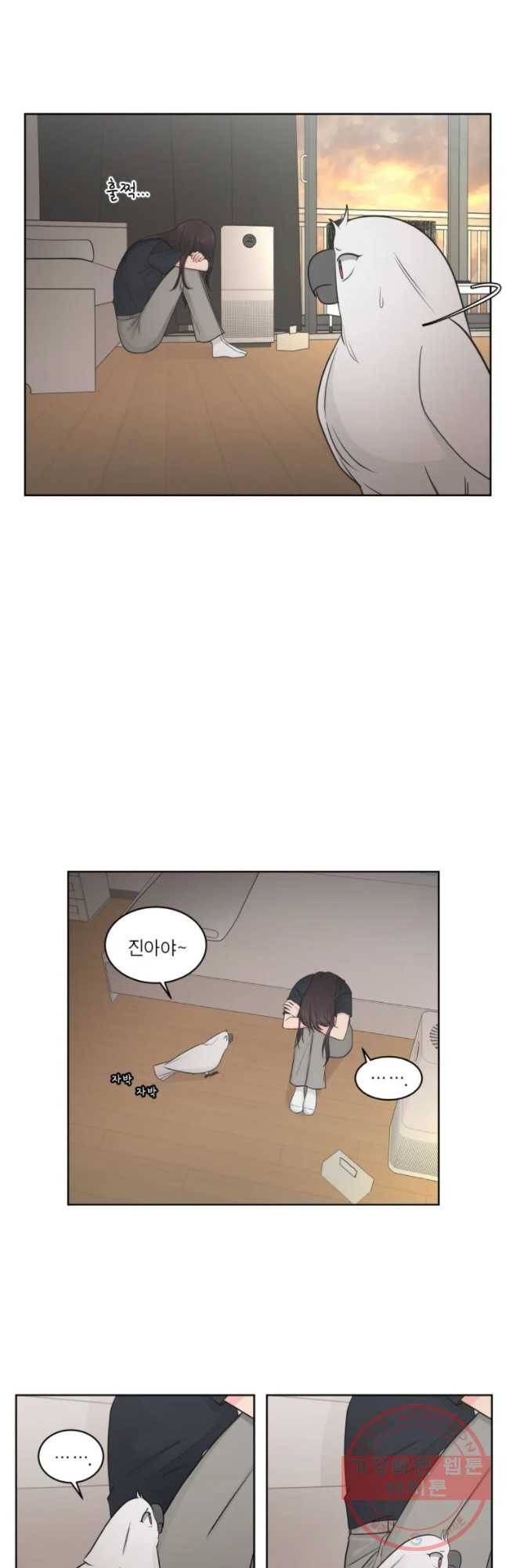 그녀의 앵무새 68화 간극 35