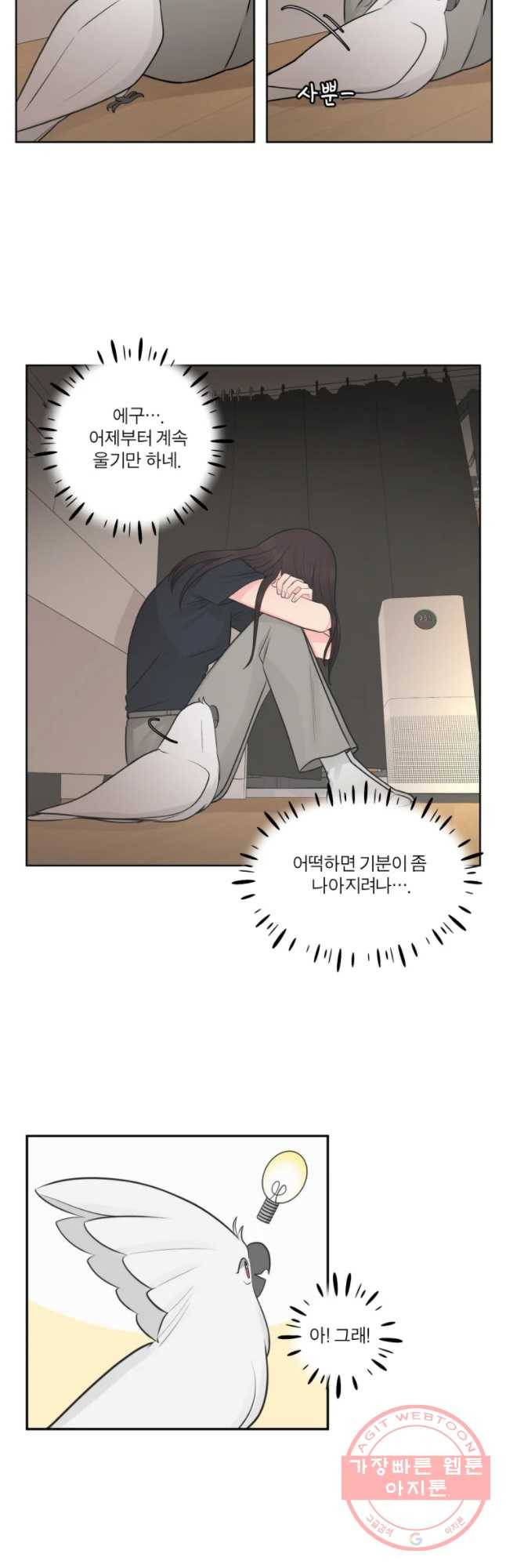 그녀의 앵무새 68화 간극 36