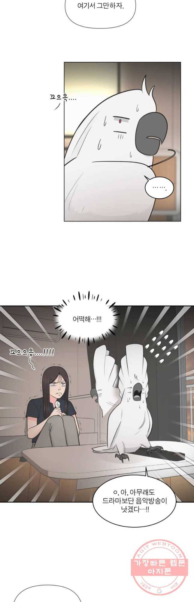 그녀의 앵무새 68화 간극 40