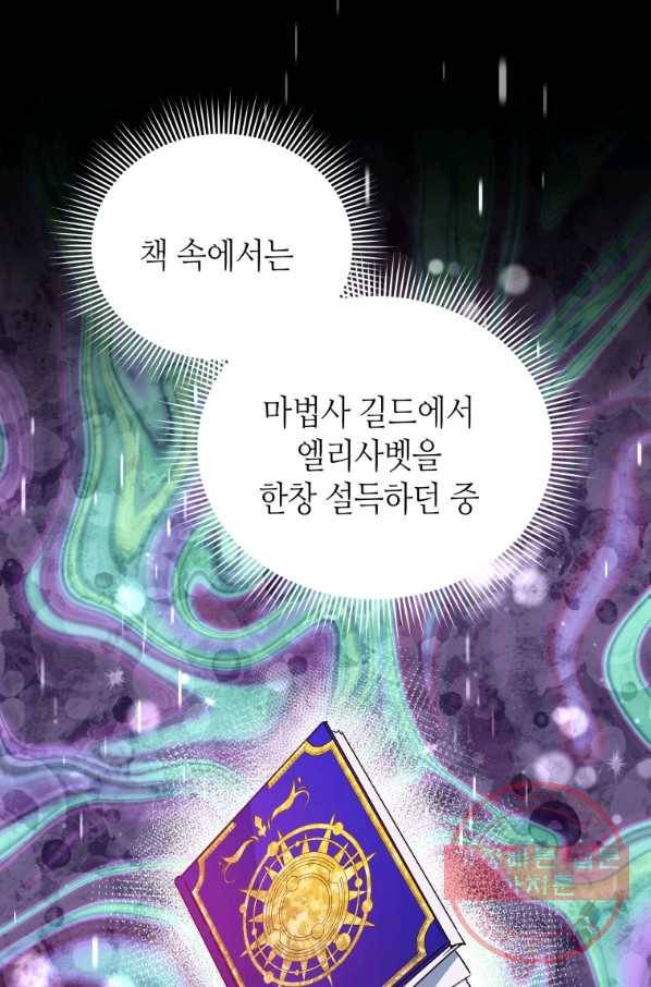 순백의 엘리사벳 38화 49