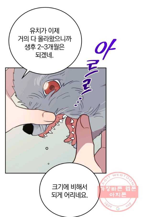 접경지역의 동물병원 65화 7