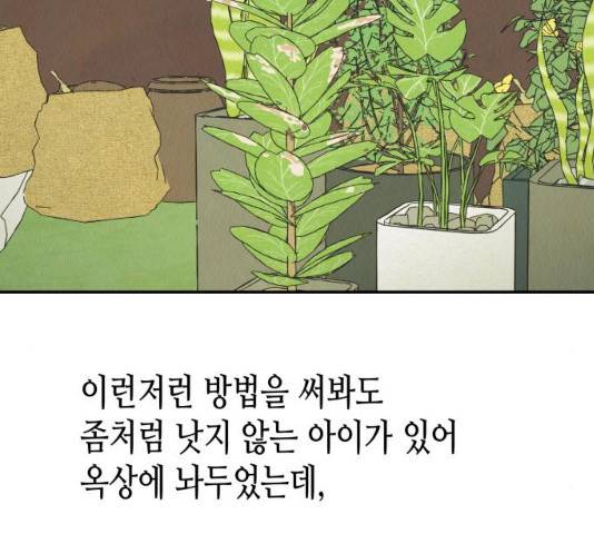 반짝반짝 작은 눈 20화 81