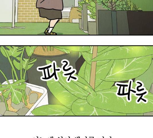 반짝반짝 작은 눈 20화 84