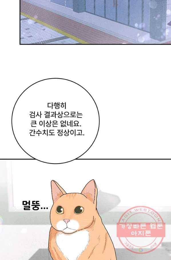 아내를 구하는 4가지 방법 27화 2