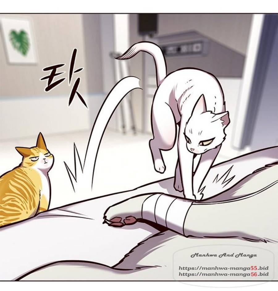 일렉시드 166화 10