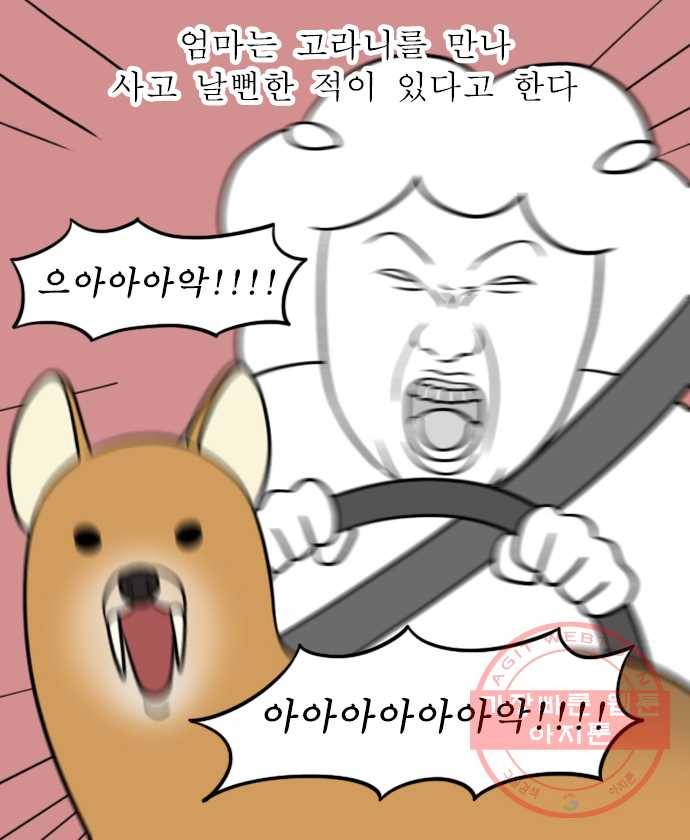독립일기 시즌2 26화 첫 고속도로 운전 (1) 13
