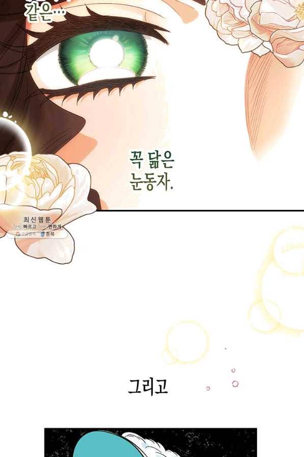 다행인지 불행인지 65화 59