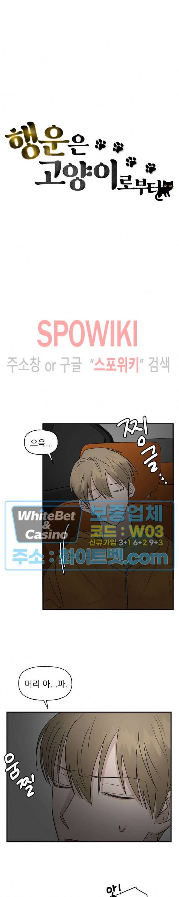행운은 고양이로부터 18화 5