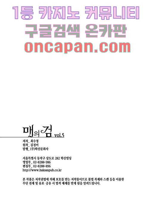 매의 검 5화 38