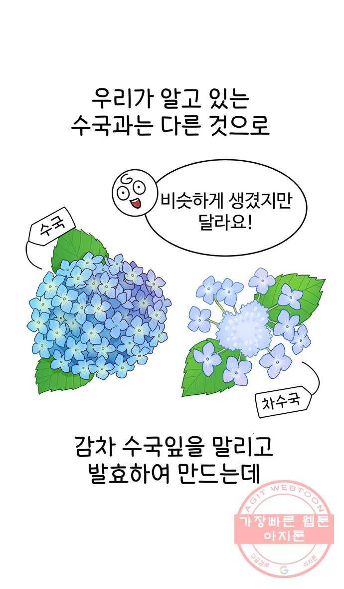 먹는 인생 11화 이슬차 12