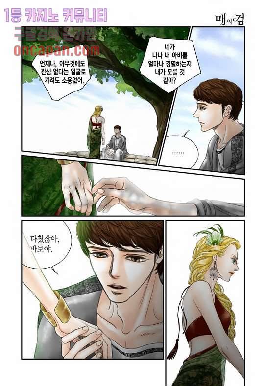 매의 검 10화 20