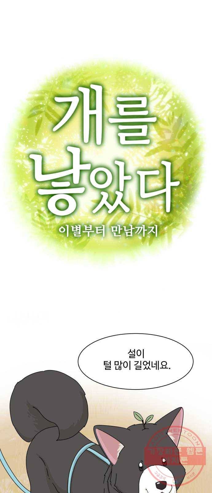 개를 낳았다 시즌2 76화 1