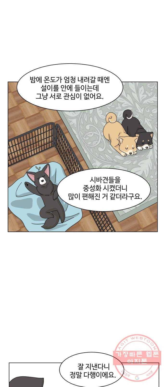 개를 낳았다 시즌2 76화 4