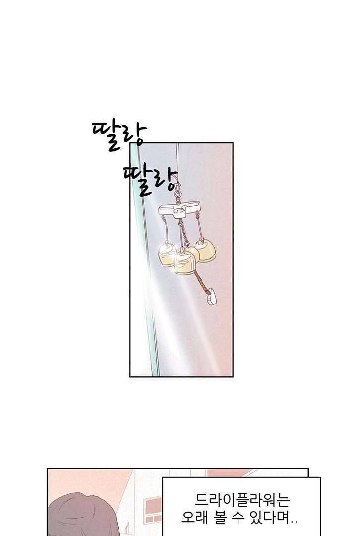 드라이 플라워 (Dry flower) 4화 44