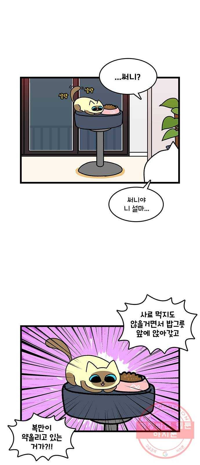 윌유메리미 시즌2 529화 딩동써니복만 건강관리 6_신발 3