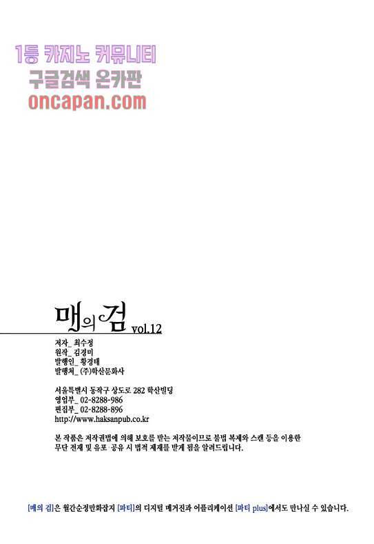 매의 검 12화 24