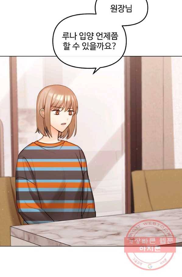 우리집 고양이는 베지테리언 태준과 탱고의 첫 만남 2