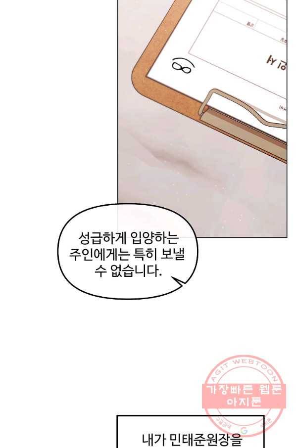 우리집 고양이는 베지테리언 태준과 탱고의 첫 만남 15