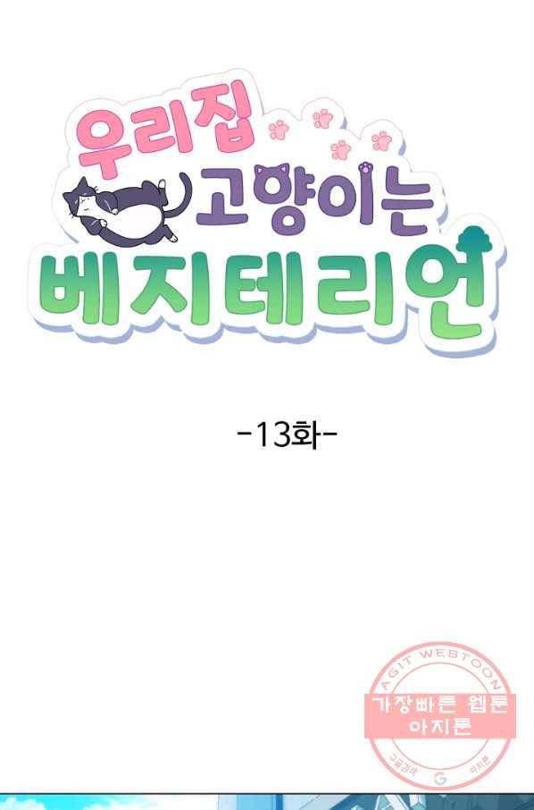 우리집 고양이는 베지테리언 태준과 탱고의 첫 만남 20