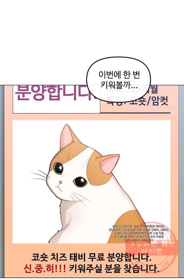 우리집 고양이는 베지테리언 태준과 탱고의 첫 만남 23