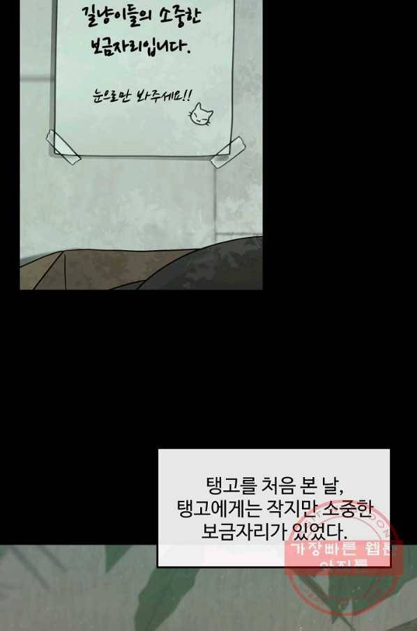 우리집 고양이는 베지테리언 태준과 탱고의 첫 만남 25