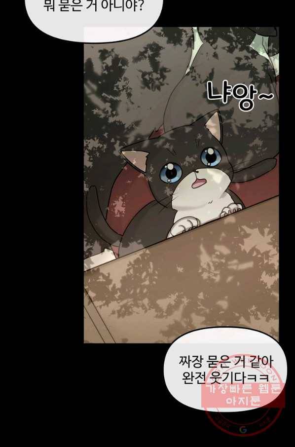 우리집 고양이는 베지테리언 태준과 탱고의 첫 만남 27
