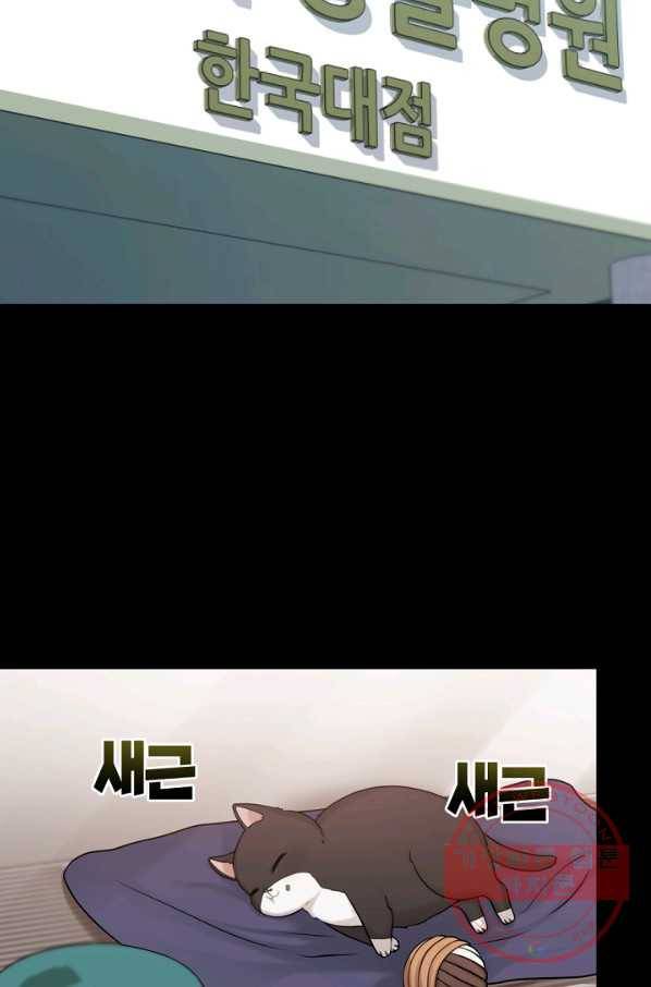 우리집 고양이는 베지테리언 태준과 탱고의 첫 만남 32