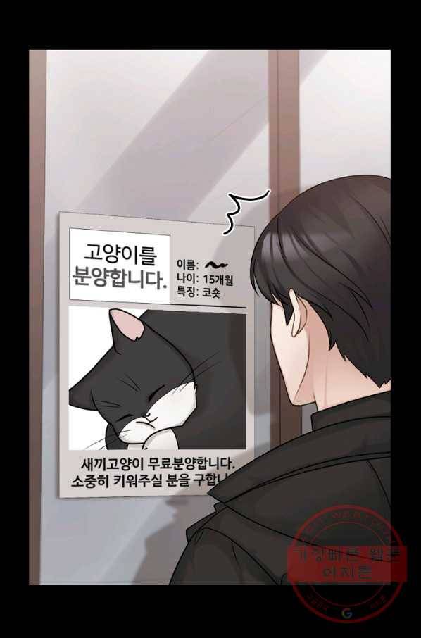 우리집 고양이는 베지테리언 태준과 탱고의 첫 만남 34