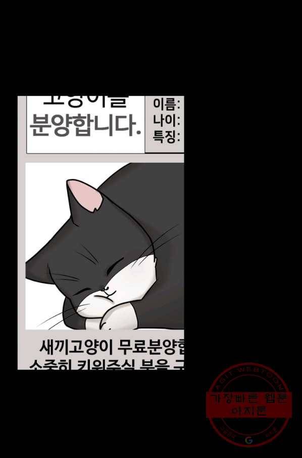 우리집 고양이는 베지테리언 태준과 탱고의 첫 만남 35