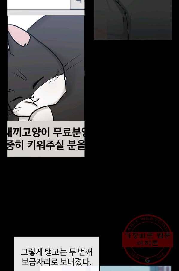 우리집 고양이는 베지테리언 태준과 탱고의 첫 만남 41