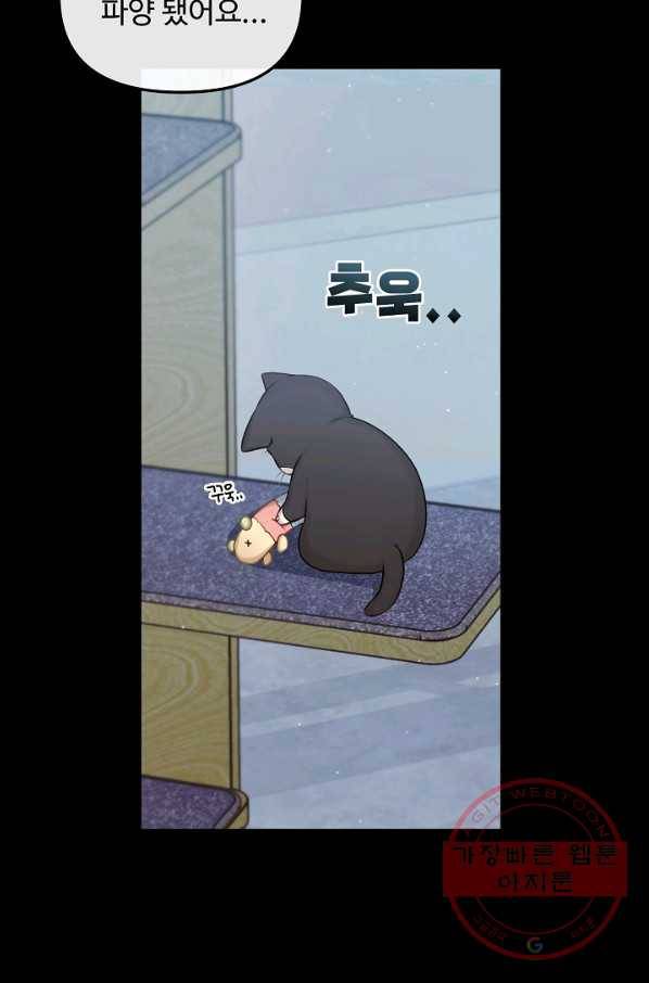 우리집 고양이는 베지테리언 태준과 탱고의 첫 만남 45