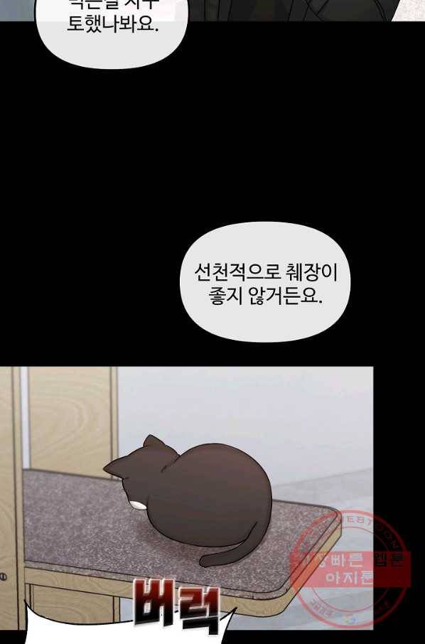 우리집 고양이는 베지테리언 태준과 탱고의 첫 만남 47