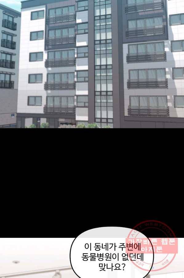 우리집 고양이는 베지테리언 태준과 탱고의 첫 만남 49