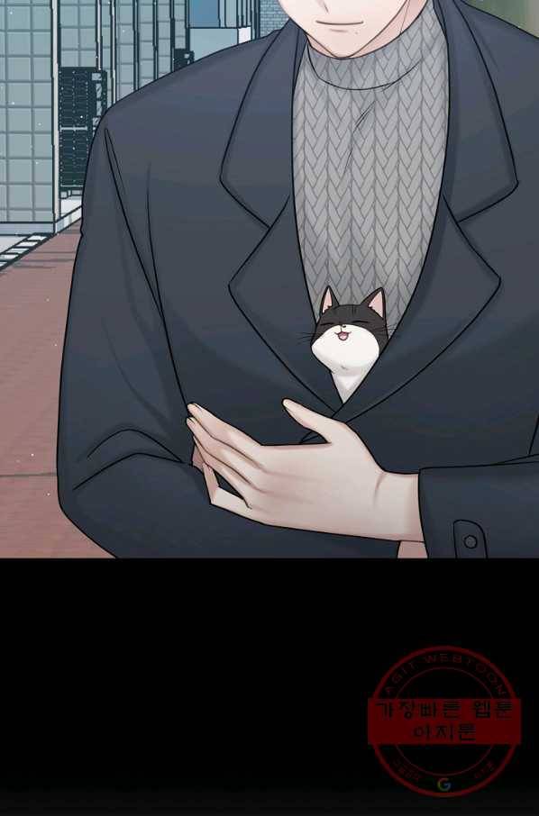 우리집 고양이는 베지테리언 태준과 탱고의 첫 만남 54