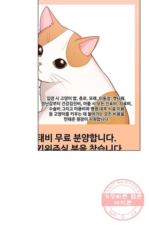 우리집 고양이는 베지테리언 태준과 탱고의 첫 만남 59