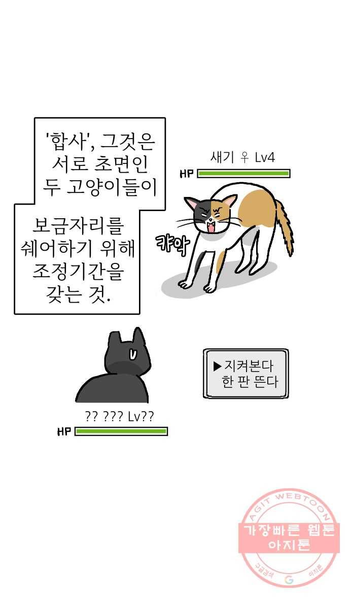 애옹식당 4화 너의 이름은?! 2