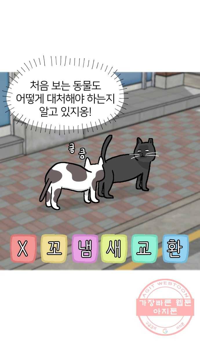 애옹식당 4화 너의 이름은?! 5