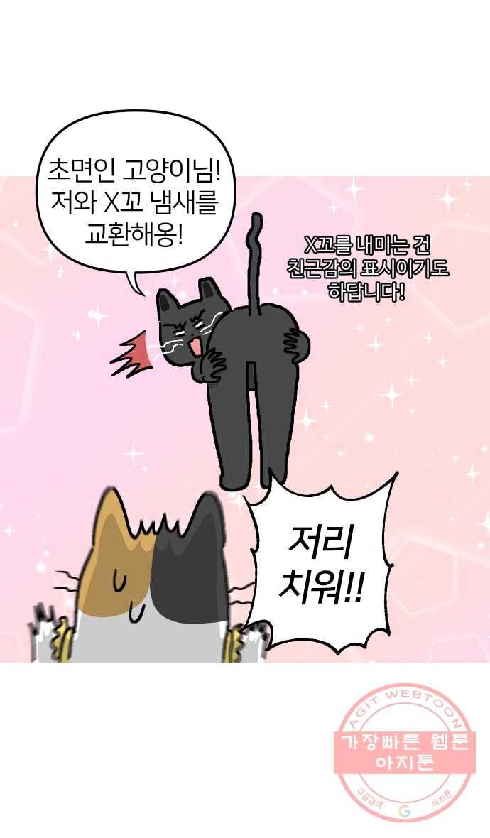 애옹식당 4화 너의 이름은?! 6