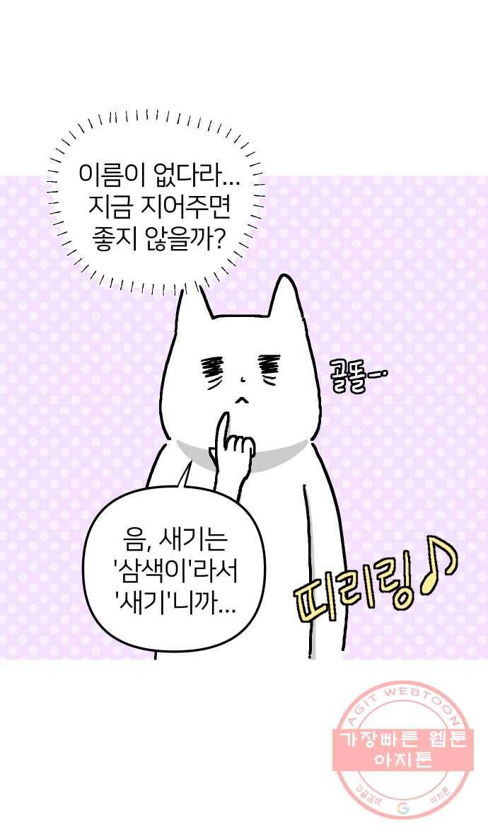 애옹식당 4화 너의 이름은?! 38