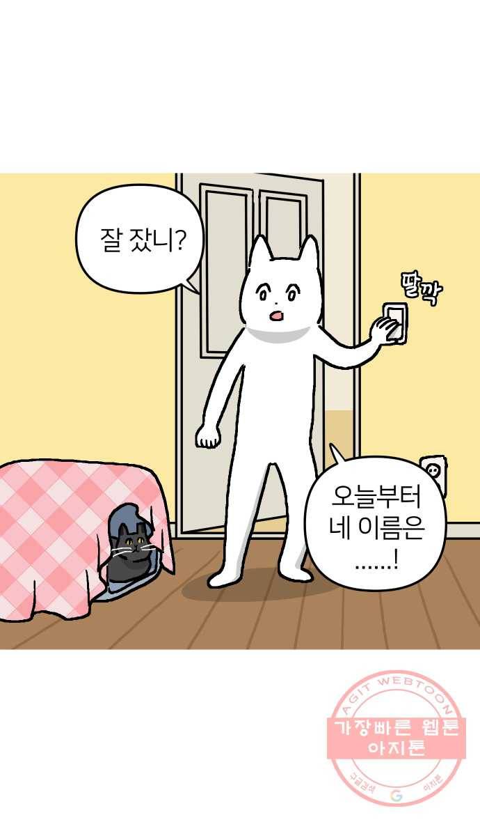 애옹식당 4화 너의 이름은?! 41