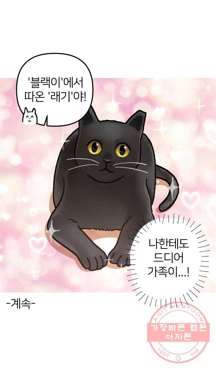 애옹식당 4화 너의 이름은?! 42