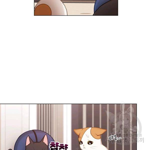 우리집 고양이는 베지테리언 16화 39