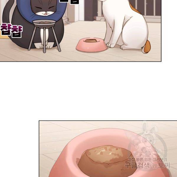 우리집 고양이는 베지테리언 16화 40