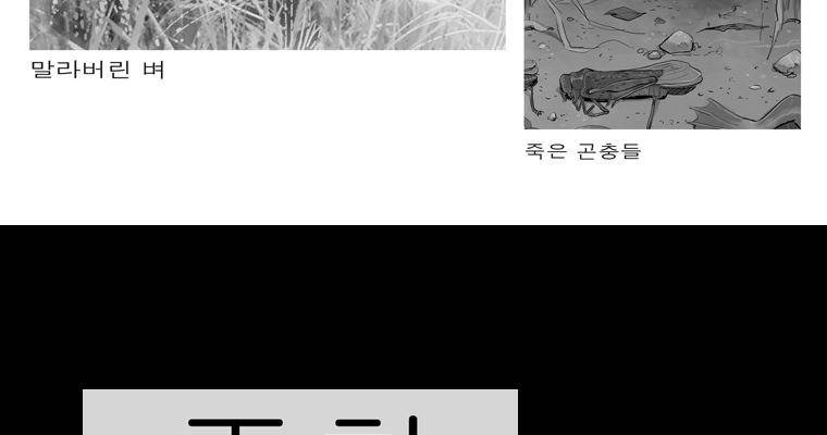 연무 17화 161